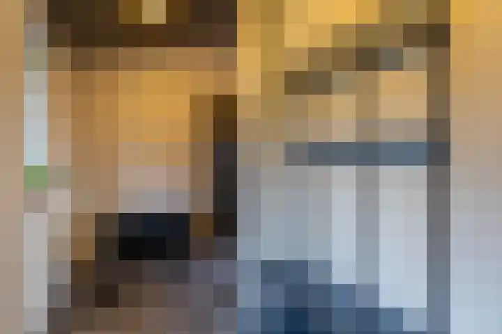 Peelweg 16 Ysselsteyn thumbnail 117
