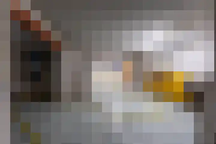 Peelweg 16 Ysselsteyn thumbnail 122