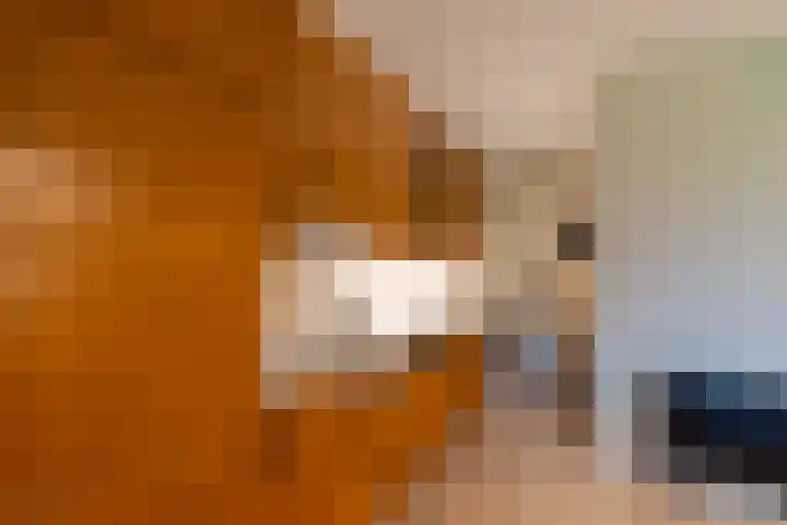 Peelweg 16 Ysselsteyn thumbnail 126