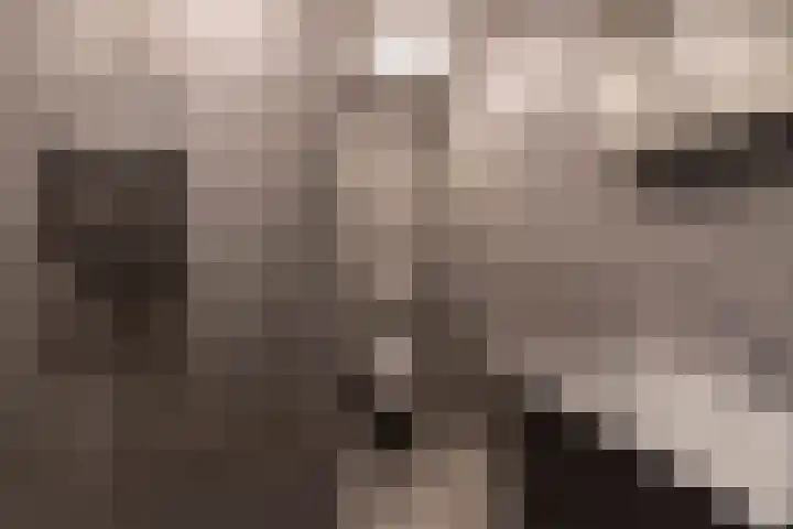 Peelweg 16 Ysselsteyn thumbnail 130