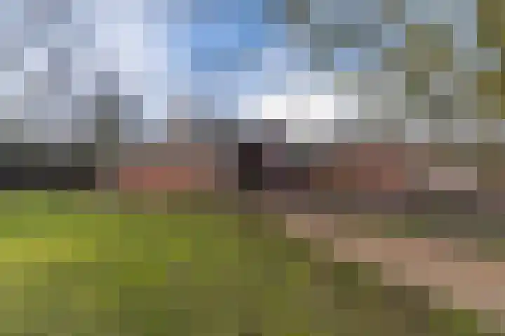 Peelweg 16 Ysselsteyn thumbnail 14