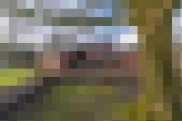 Peelweg 16 Ysselsteyn thumbnail 15