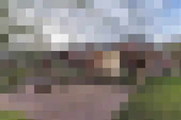Peelweg 16 Ysselsteyn thumbnail 17