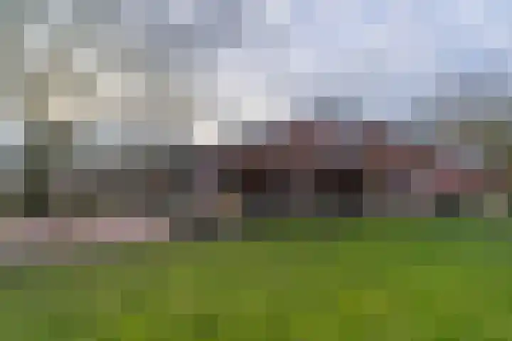 Peelweg 16 Ysselsteyn thumbnail 18