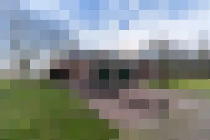 Peelweg 16 Ysselsteyn thumbnail 20