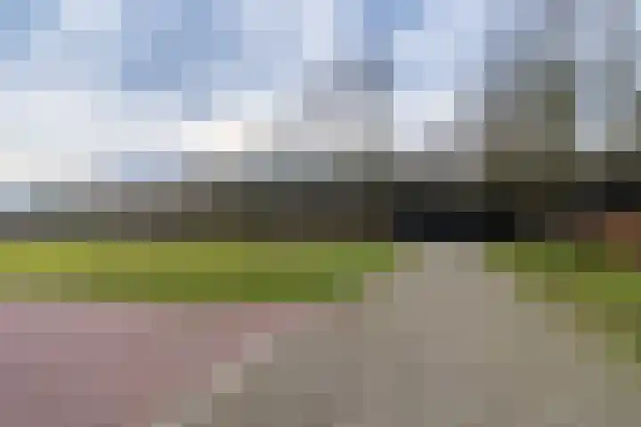Peelweg 16 Ysselsteyn thumbnail 22