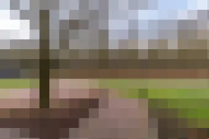 Peelweg 16 Ysselsteyn thumbnail 29