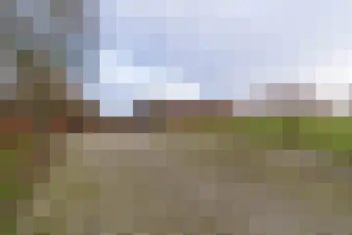 Peelweg 16 Ysselsteyn thumbnail 32