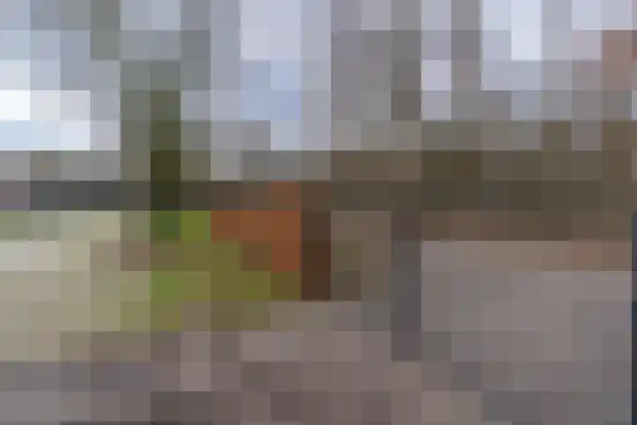 Peelweg 16 Ysselsteyn thumbnail 36