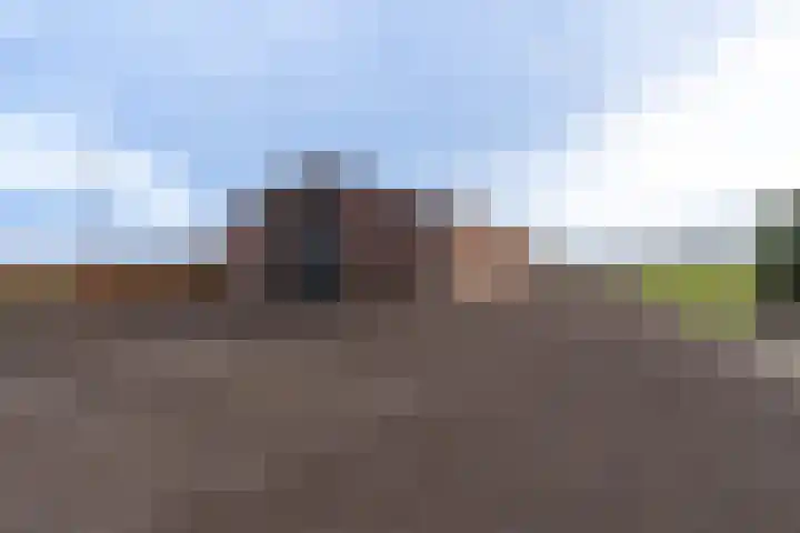 Peelweg 16 Ysselsteyn thumbnail 37