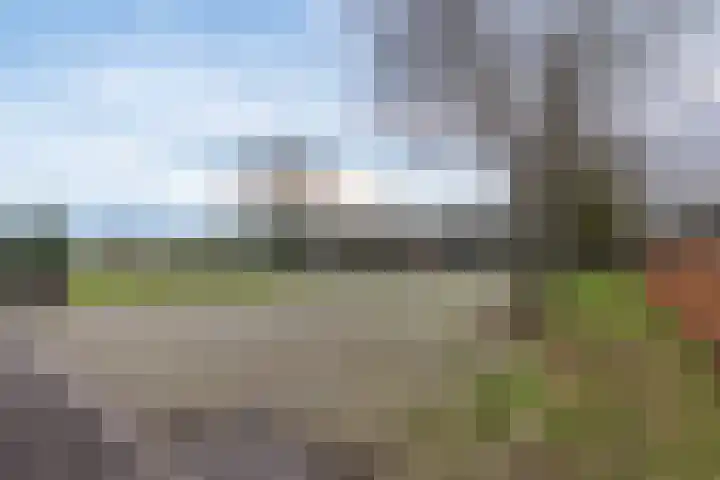 Peelweg 16 Ysselsteyn thumbnail 39