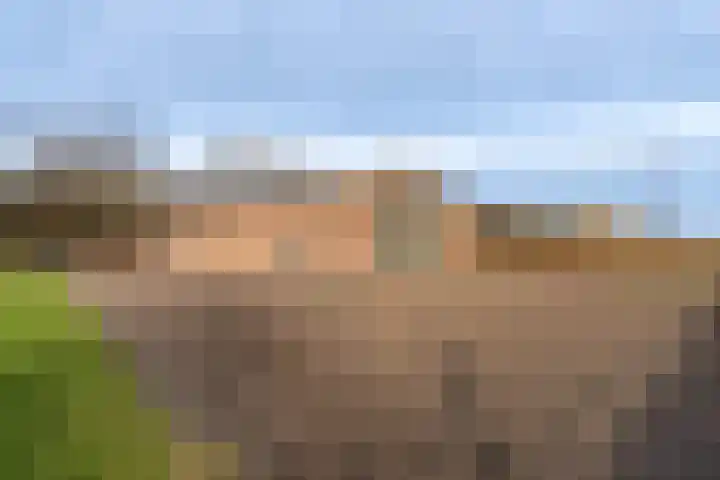 Peelweg 16 Ysselsteyn thumbnail 41