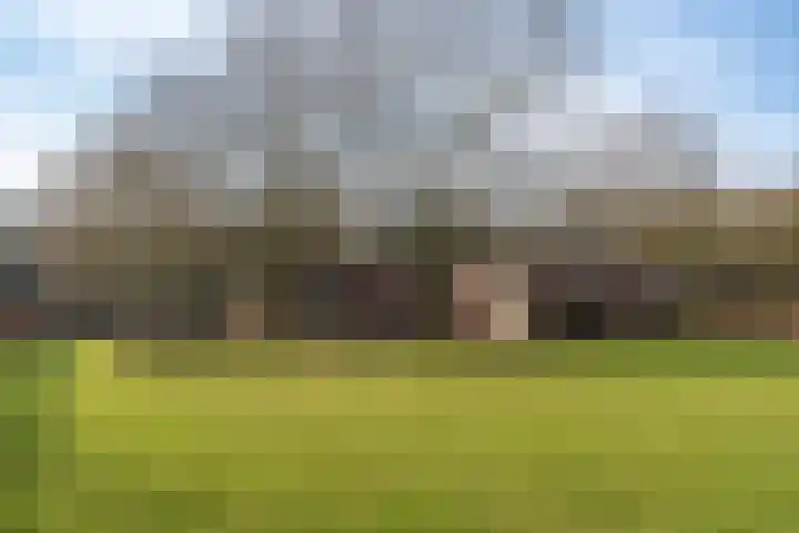 Peelweg 16 Ysselsteyn thumbnail 42