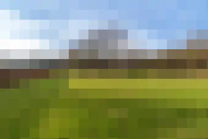 Peelweg 16 Ysselsteyn thumbnail 47