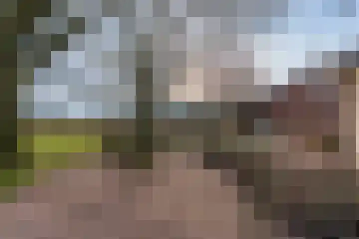 Peelweg 16 Ysselsteyn thumbnail 49