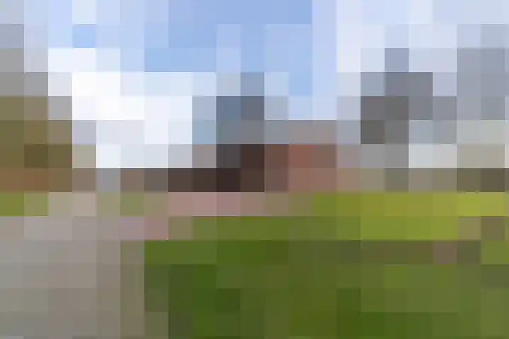Peelweg 16 Ysselsteyn thumbnail 5
