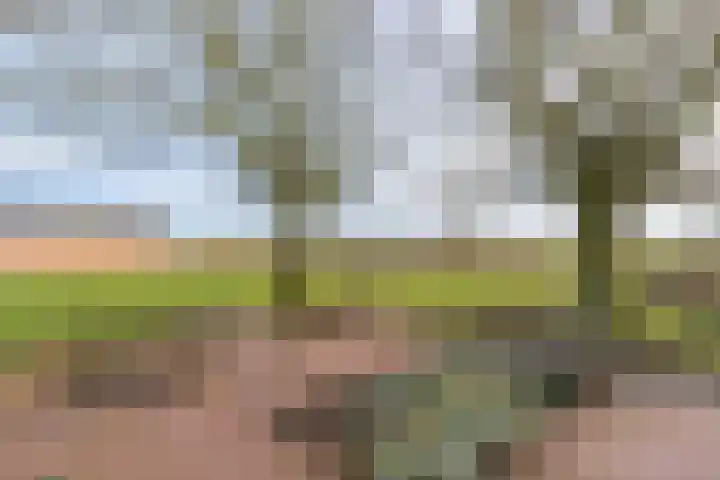 Peelweg 16 Ysselsteyn thumbnail 50