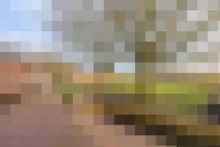 Peelweg 16 Ysselsteyn thumbnail 53