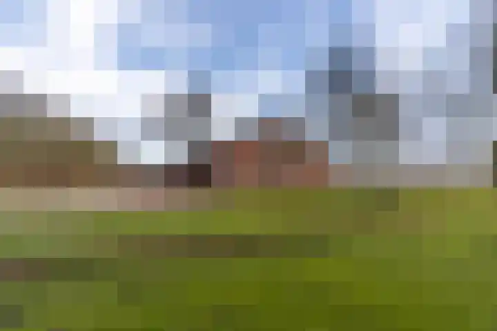 Peelweg 16 Ysselsteyn thumbnail 6