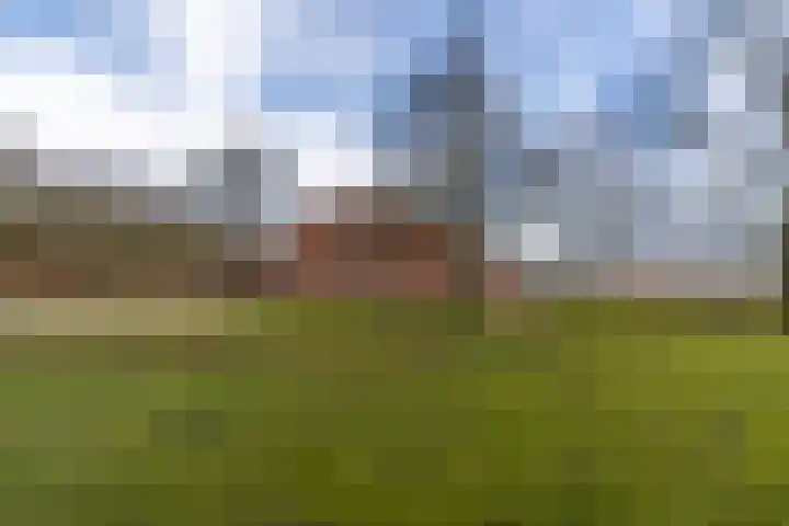 Peelweg 16 Ysselsteyn thumbnail 7
