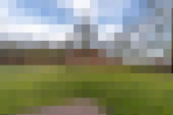 Peelweg 16 Ysselsteyn thumbnail 8