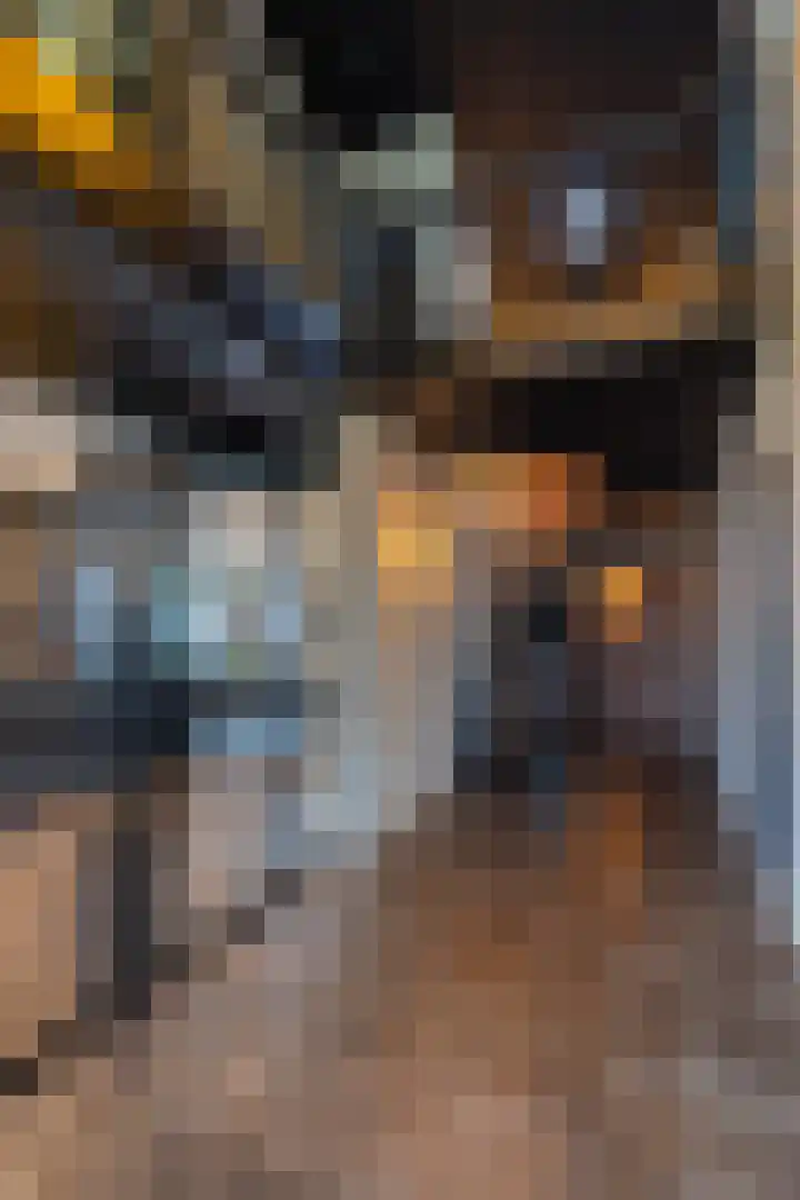 Peelweg 16 Ysselsteyn thumbnail 85