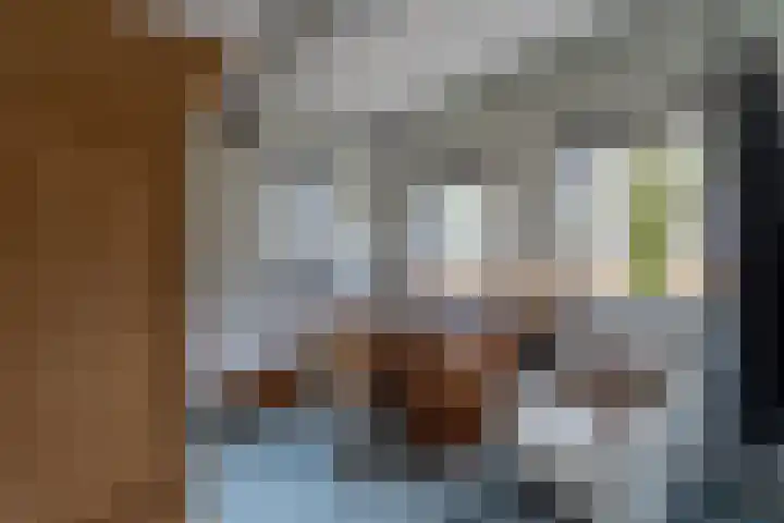 Peelweg 16 Ysselsteyn thumbnail 88