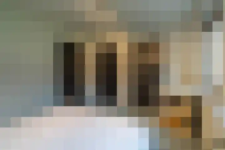 Peelweg 16 Ysselsteyn thumbnail 90