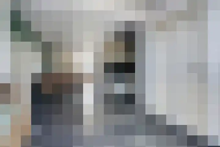 Peerakker 13 Heerewaarden thumbnail 13