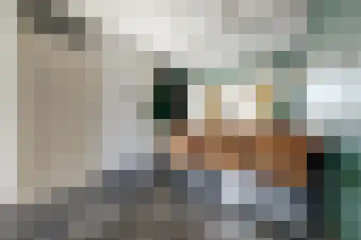 Peerakker 13 Heerewaarden thumbnail 18