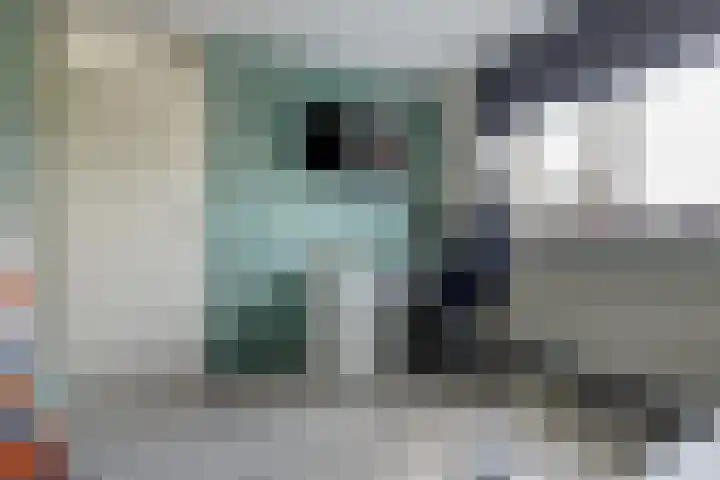 Peerakker 13 Heerewaarden thumbnail 26