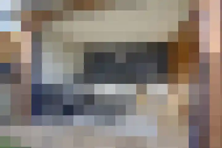 Peerakker 13 Heerewaarden thumbnail 33
