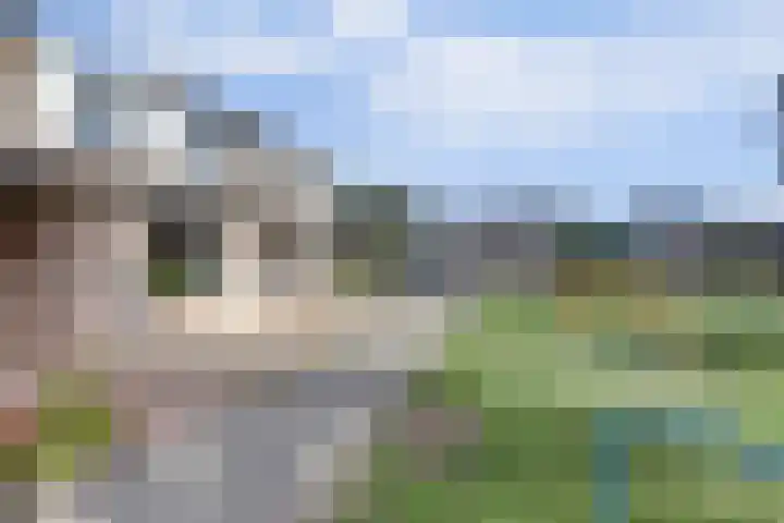 Peerakker 13 Heerewaarden thumbnail 34