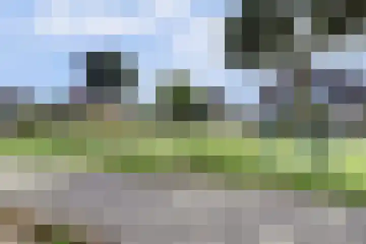 Peerakker 13 Heerewaarden thumbnail 35