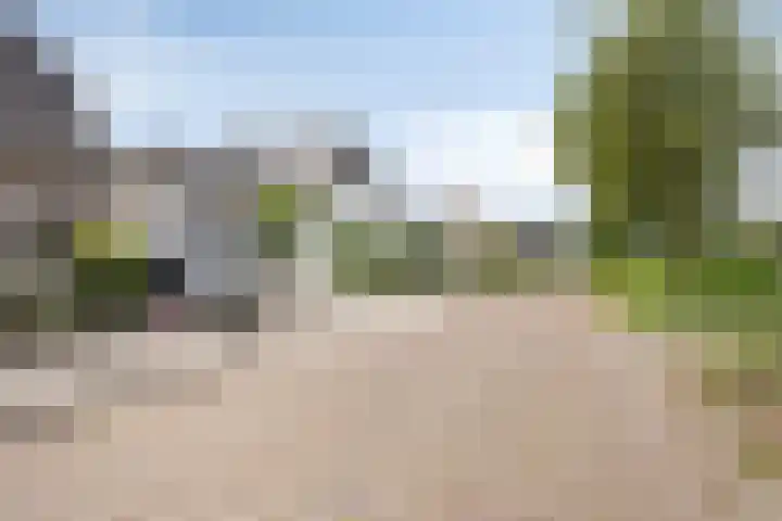 Peerakker 8 Heerewaarden thumbnail 16