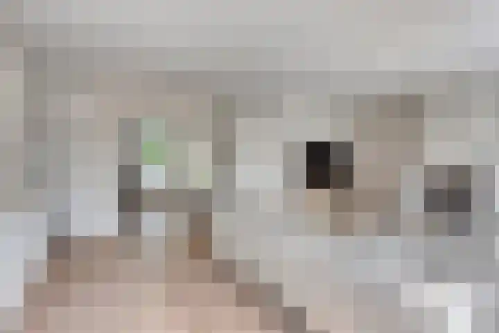 Peerakker 8 Heerewaarden thumbnail 18