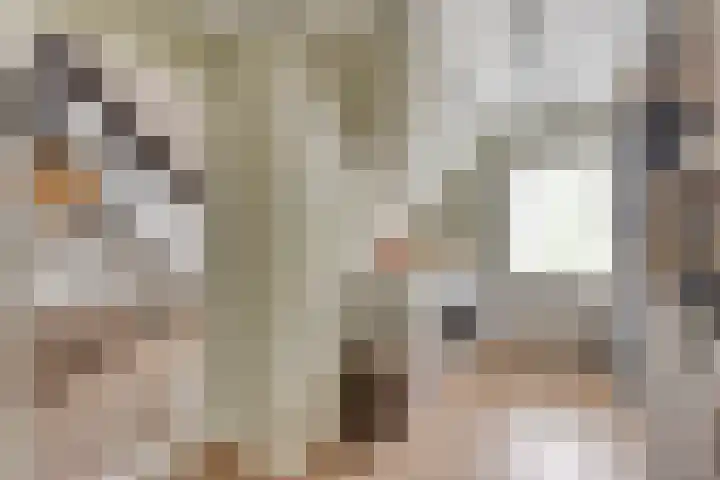 Peerakker 8 Heerewaarden thumbnail 30