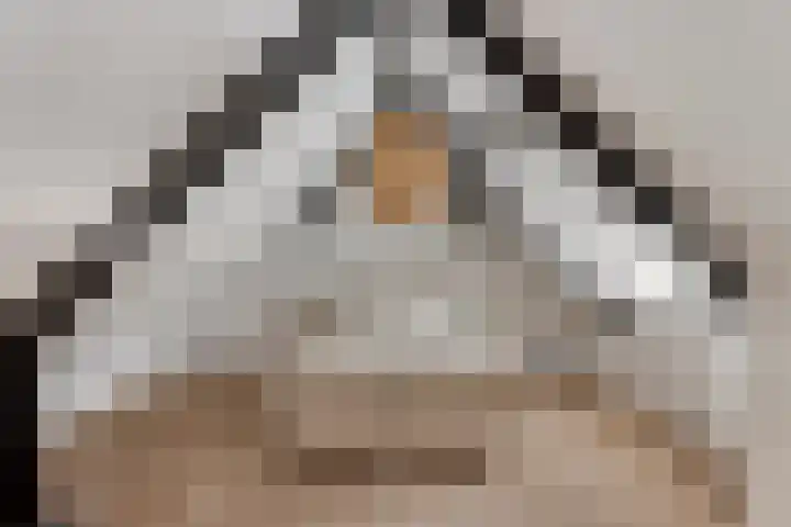 Peerakker 8 Heerewaarden thumbnail 32