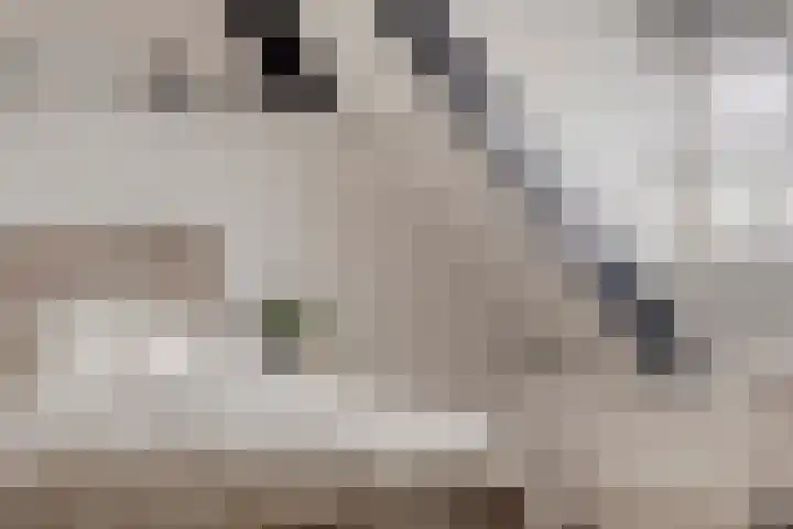Peerakker 8 Heerewaarden thumbnail 33