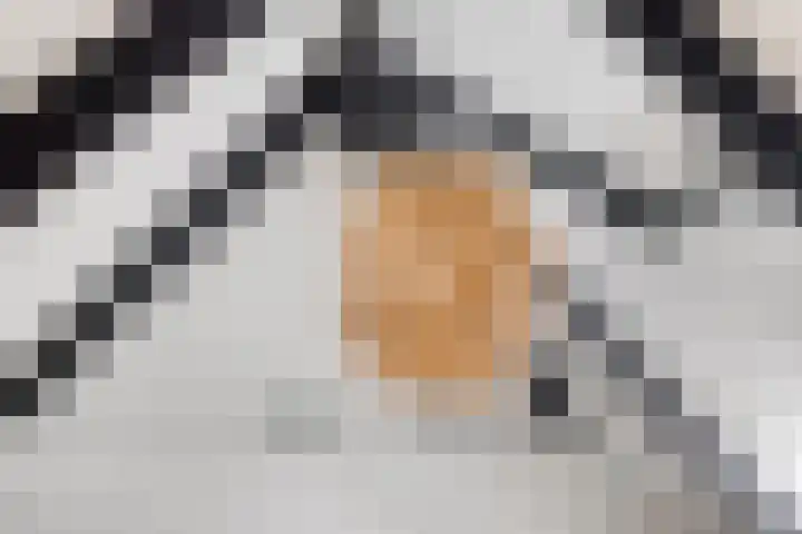 Peerakker 8 Heerewaarden thumbnail 34