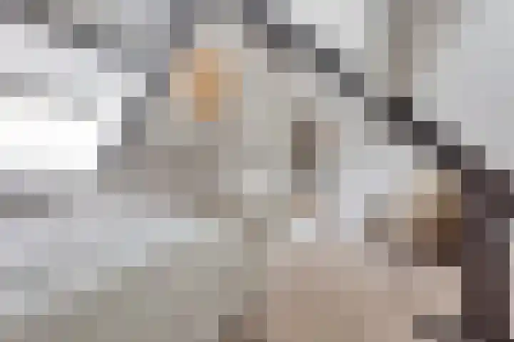 Peerakker 8 Heerewaarden thumbnail 35