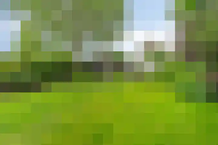 Peerakker 8 Heerewaarden thumbnail 4