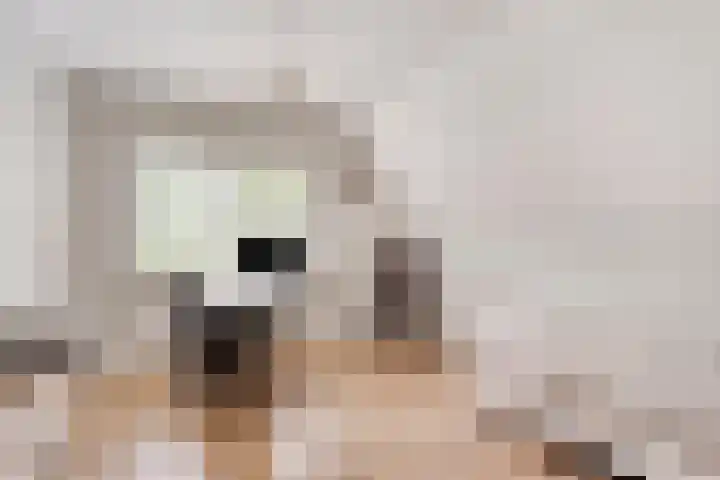 Peerakker 8 Heerewaarden thumbnail 40