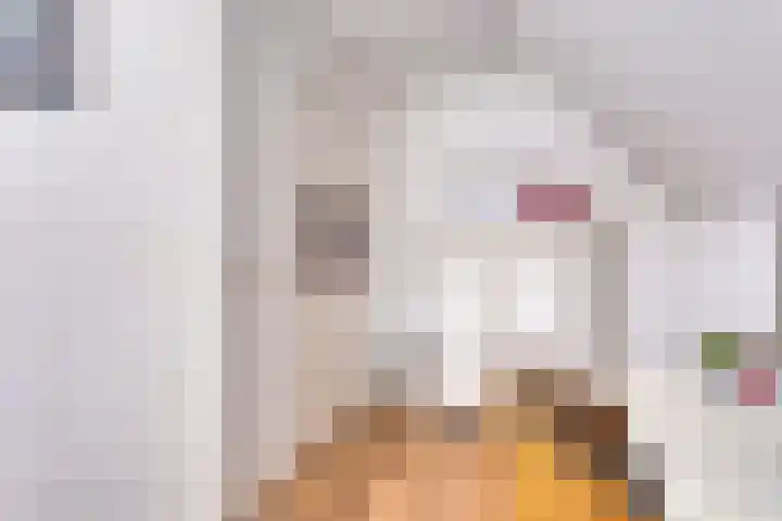 Peerakker 8 Heerewaarden thumbnail 43
