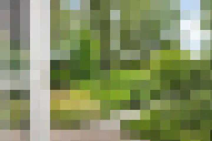 Peerakker 8 Heerewaarden thumbnail 44