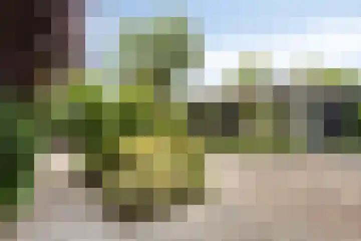 Peerakker 8 Heerewaarden thumbnail 45