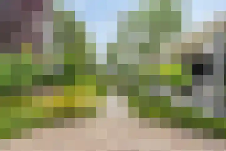 Peerakker 8 Heerewaarden thumbnail 46