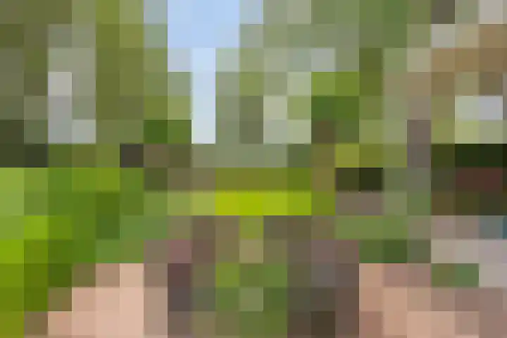 Peerakker 8 Heerewaarden thumbnail 47