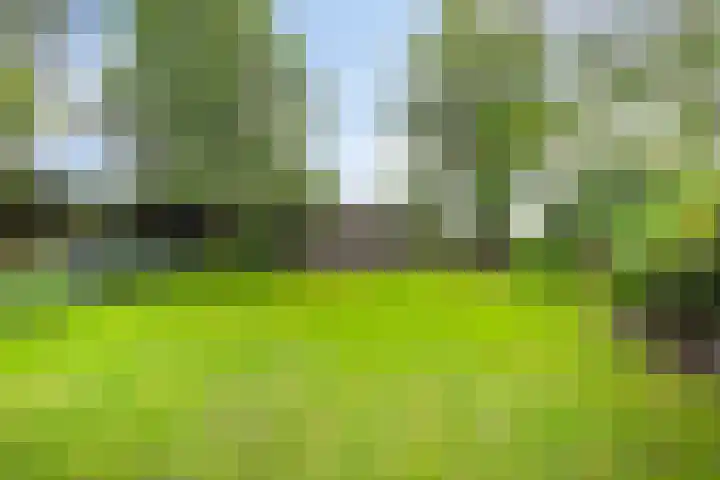 Peerakker 8 Heerewaarden thumbnail 48