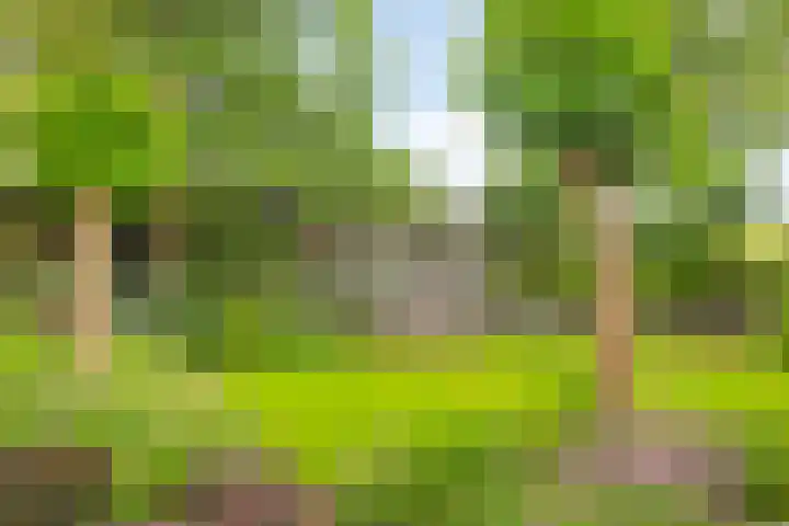 Peerakker 8 Heerewaarden thumbnail 49